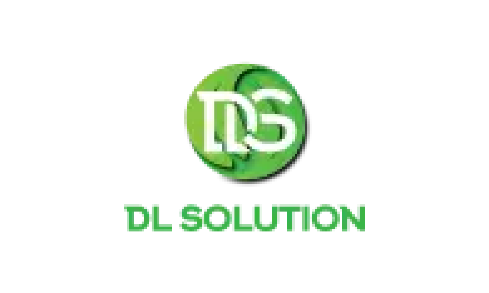 DL SOLUTION