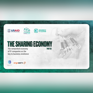 The networked economy of IT companies as the key to business resilience