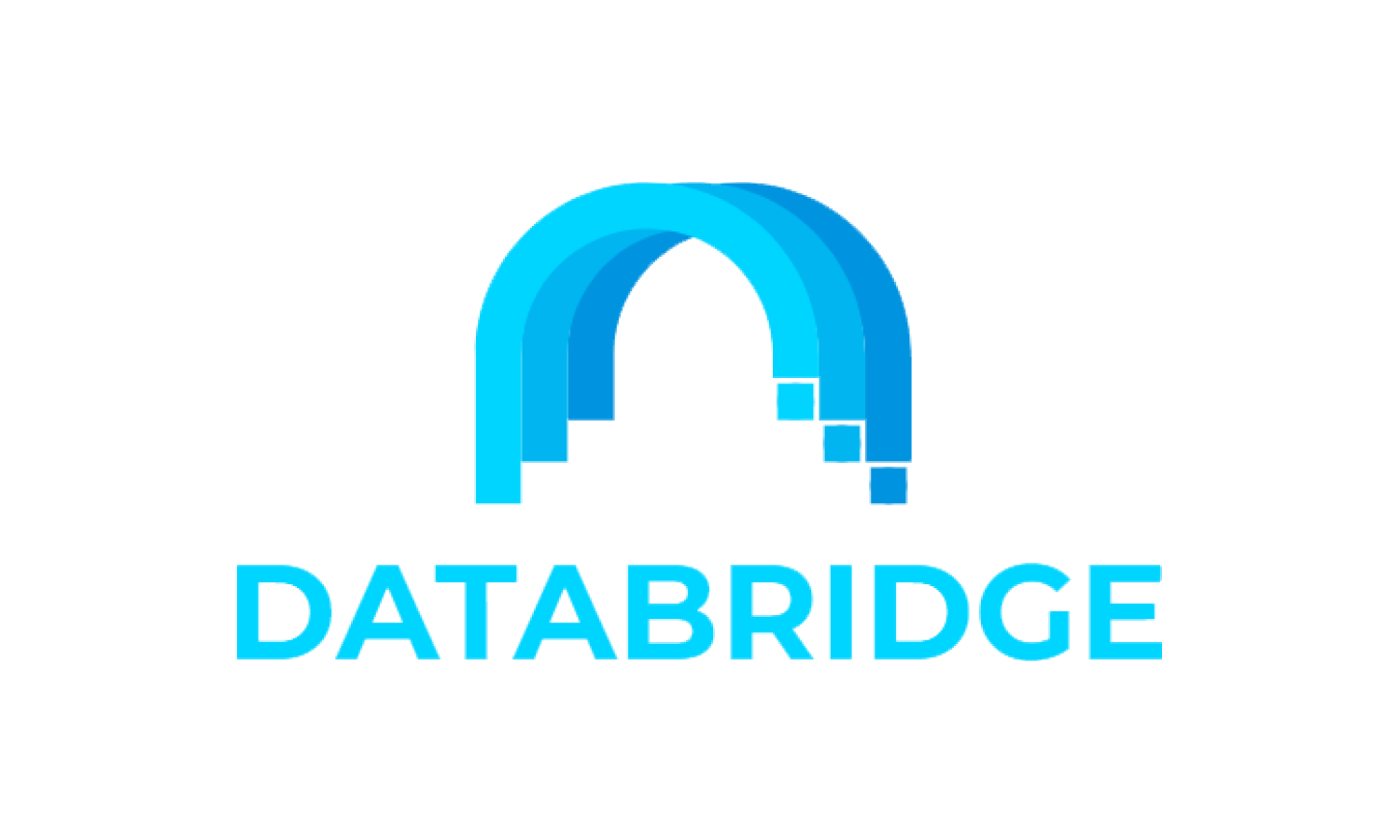DataBridge